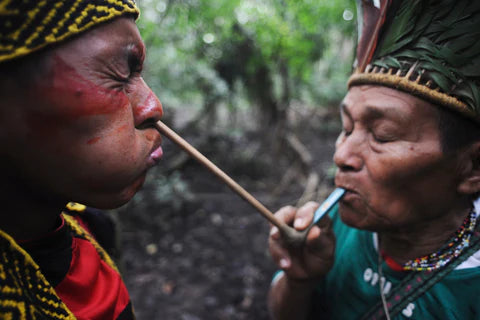 Shaman administering rapé through a tepi