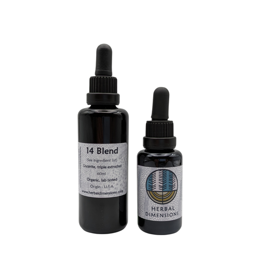 14 Blend Mushroom Glycerite