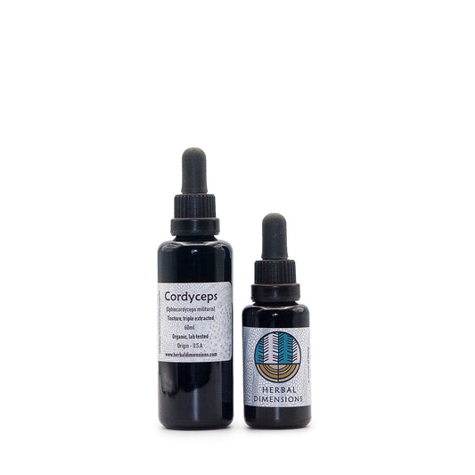 Cordyceps Tincture