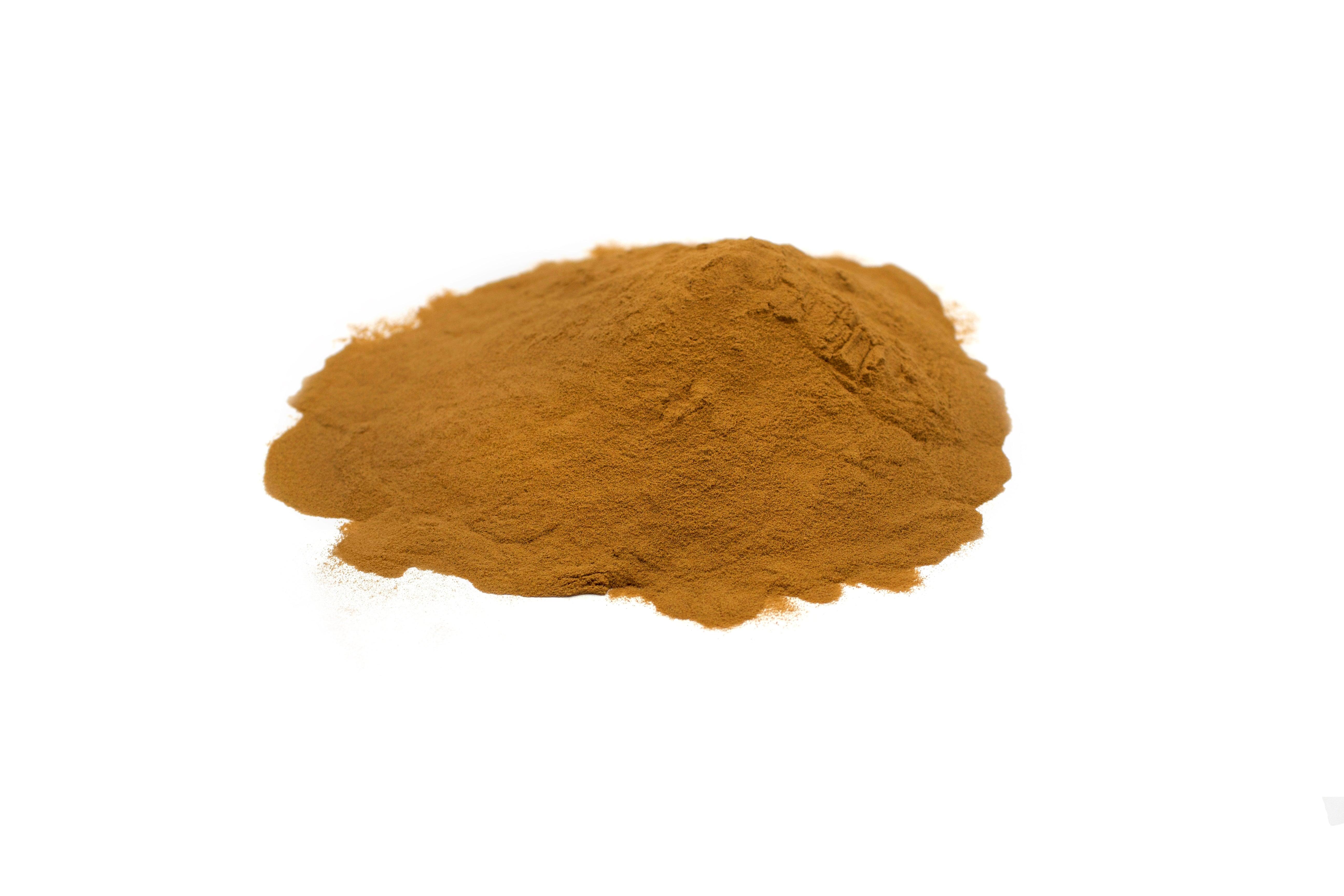 Buy Pure Red Reishi 20:1 Powdered Extract | Herbal DInensions ...