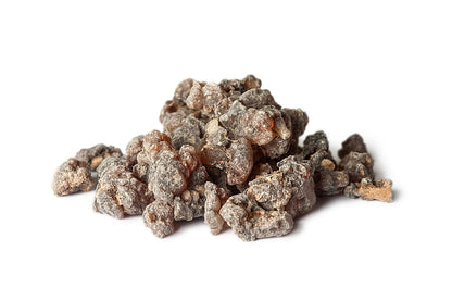 Close up of Socotran Myrrh resin