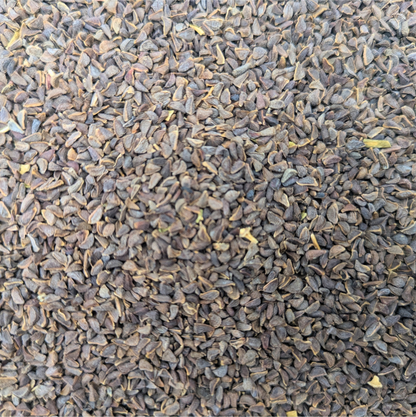 Syrian Rue (Peganum harmala)