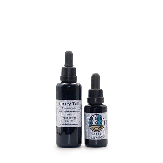Turkey Tail Tincture