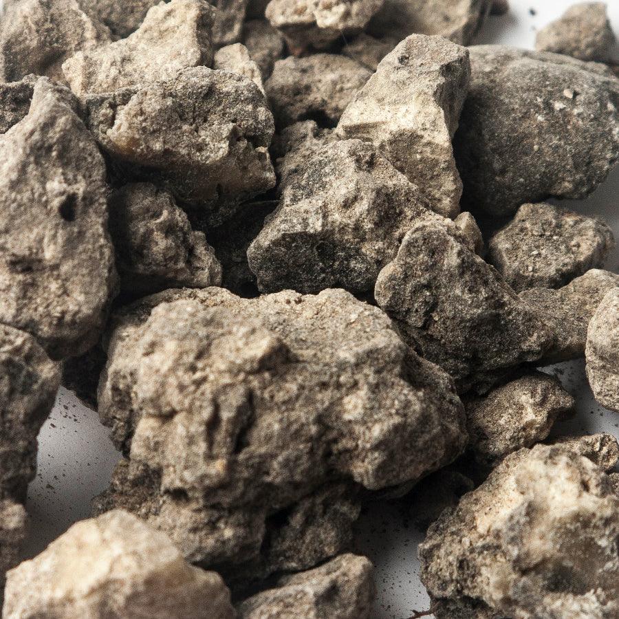 Breu branco (Protium heptaphyllum) - Herbaldimensions.com