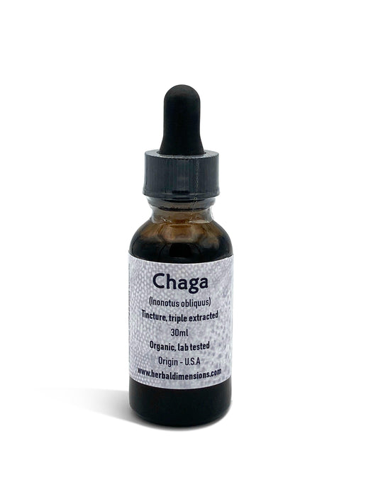 Chaga Tincture (Inonotus obliquus) - Herbaldimensions.com