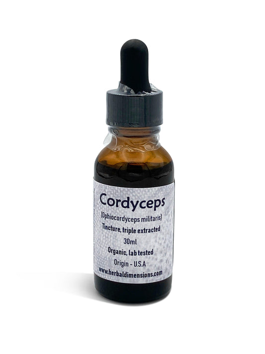 Cordyceps Tincture - Herbaldimensions.com