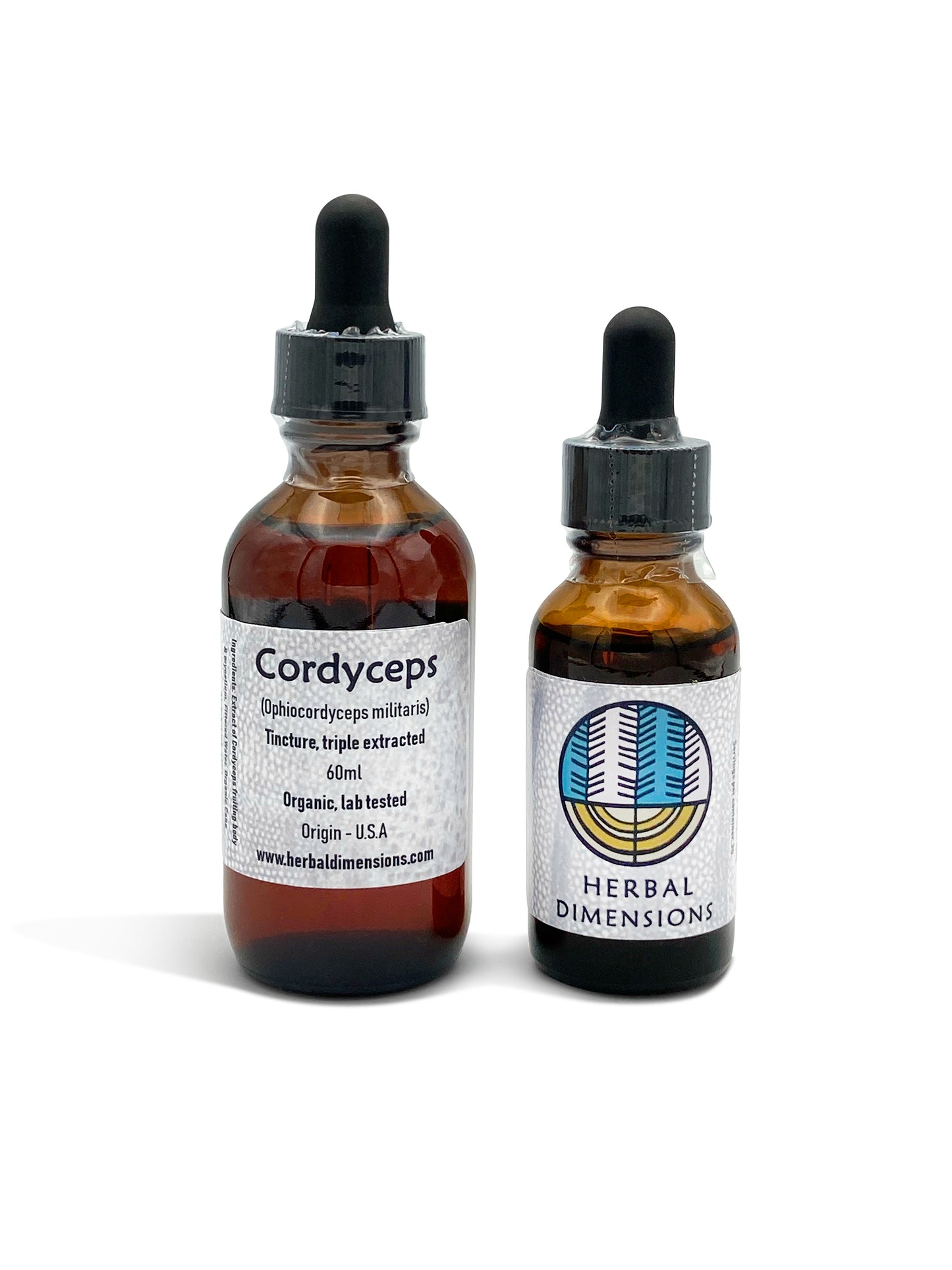 Cordyceps (Cordyceps militaris) - Herbaldimensions.com