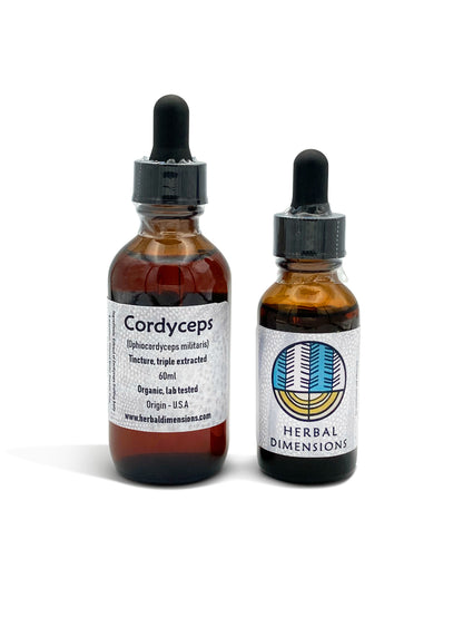 Cordyceps (Cordyceps militaris) - Herbaldimensions.com
