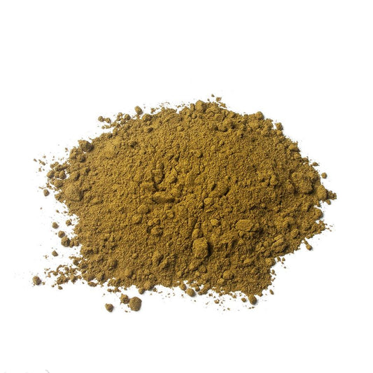 Ginko / Maidenhair tree (Ginkgo biloba) - Herbaldimensions.com
